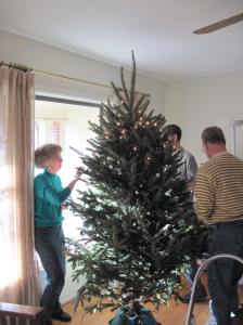 Trimming the tree