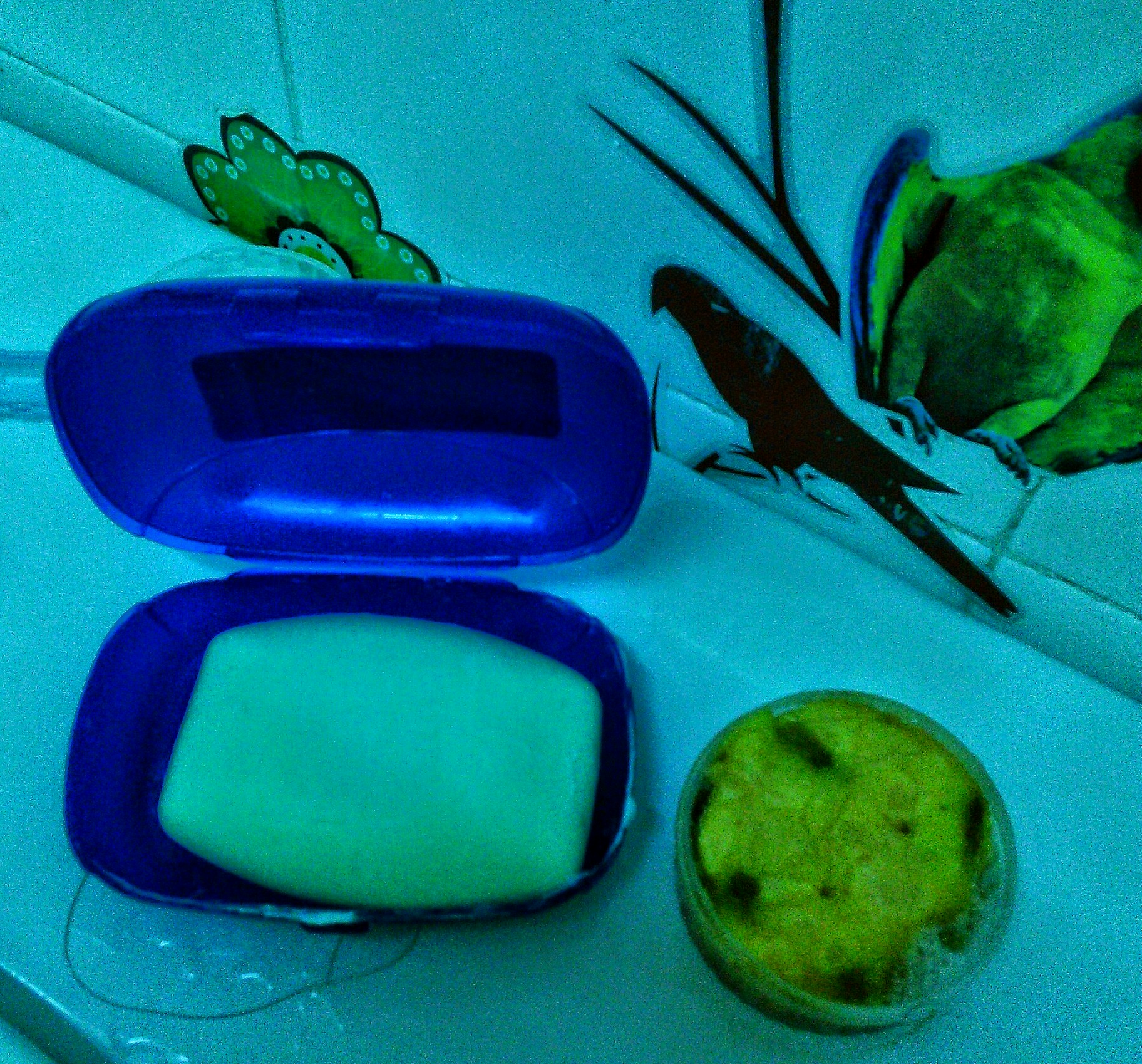 wp-1420817351706 image