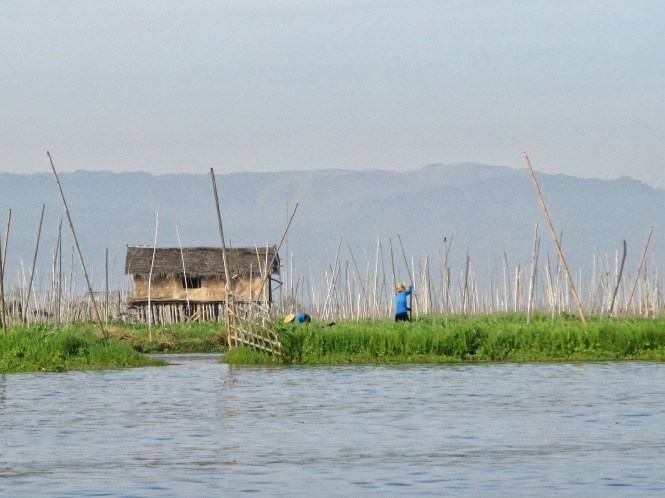 People working their fields