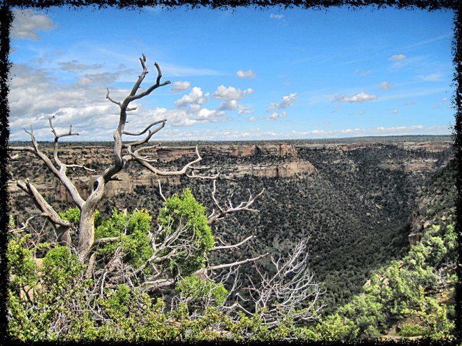 One of the canyons in Mesa Verde